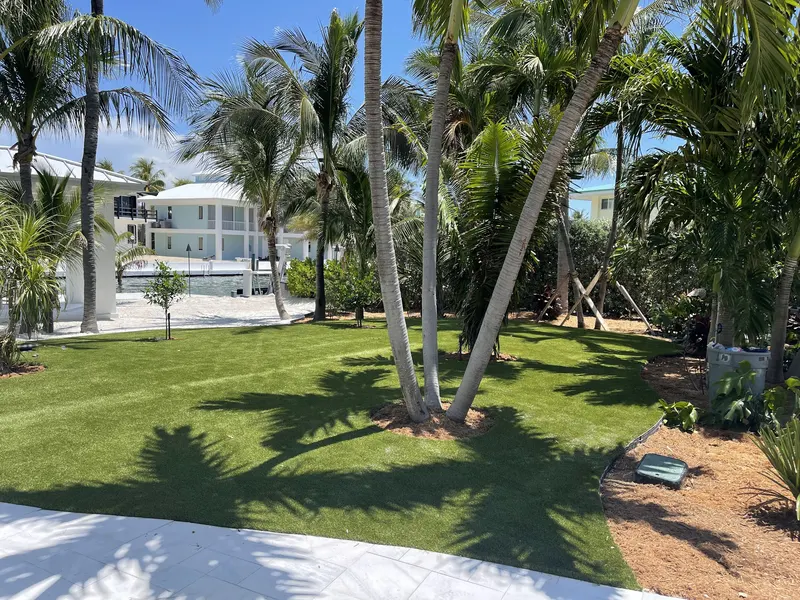 Wide turf lawn under coconut palms behind a waterfront home
