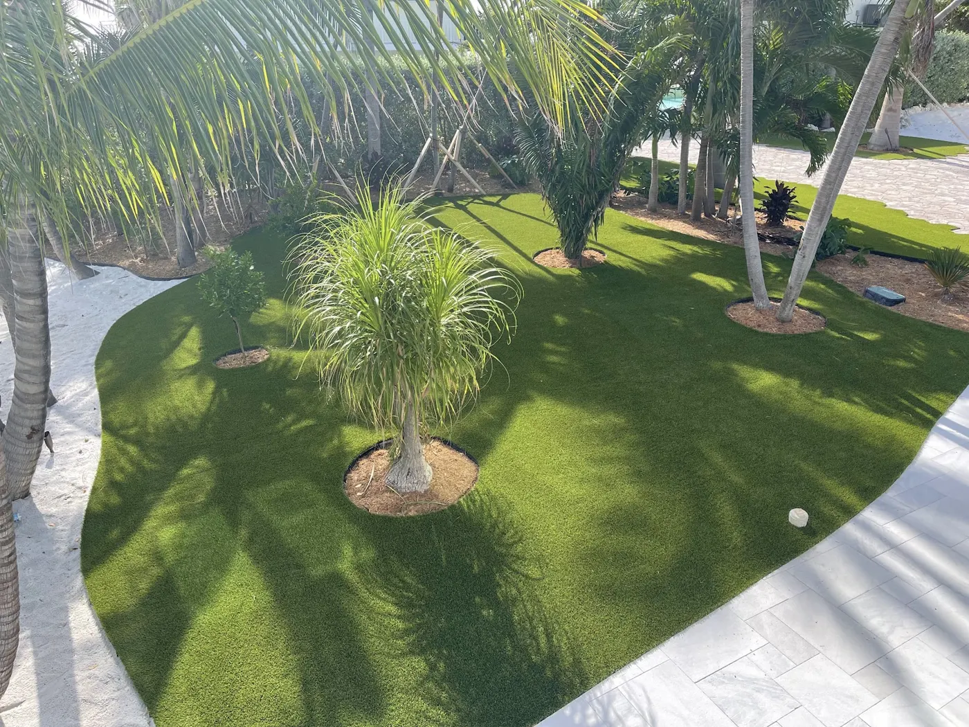 Finished turf lawn with palm islands