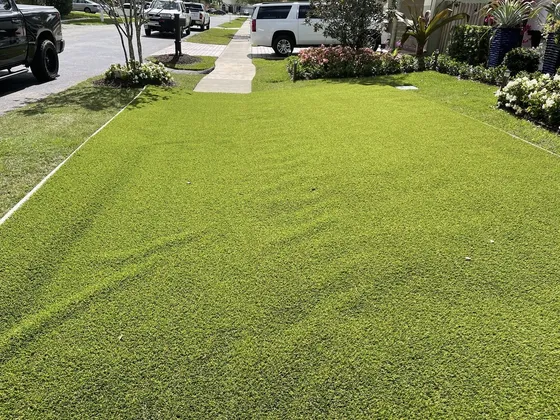 A turf front yard seen from the street