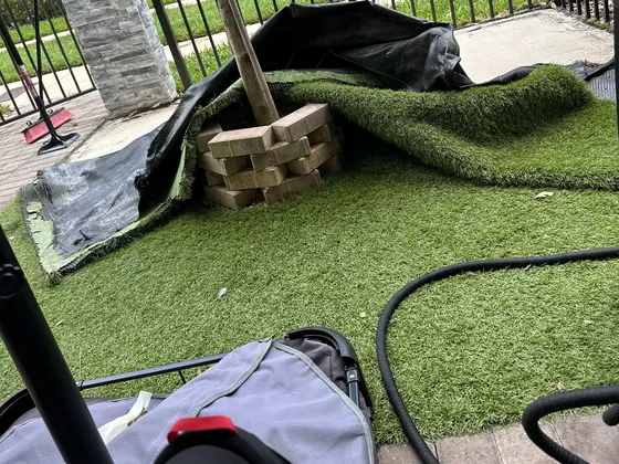 Repair underway: turf peeled back around a tree and its brick collar