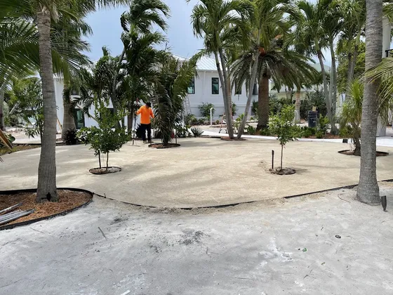 Graded screening-sand base with palm islands, ready to compact